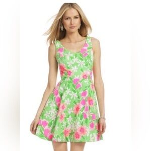 Lilly Pulitzer Freja Fit and Flare Dress Green Everything Nice Sz 0